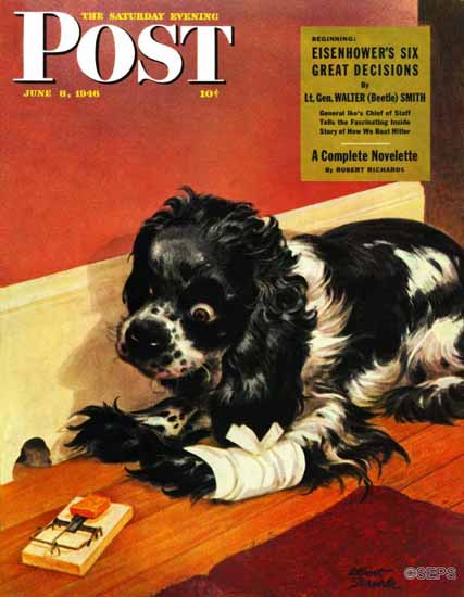 Albert Staehle Butch the Cocker Saturday Evening Post 1946_06_08 | The Saturday Evening Post Graphic Art Covers 1931-1969
