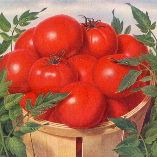 Detail Of Campbells Tomato Juice Tomatoes Like 1955 | Best of Vintage Ad Art 1891-1970