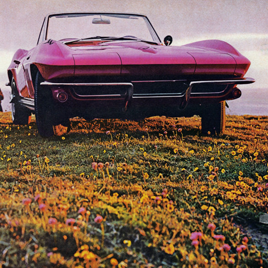 Detail Of Chevrolet Corvette Convertible 1965 Old Psyche | Best of Vintage Ad Art 1891-1970