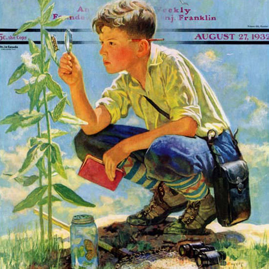 Eugene Iverd Saturday Evening Post Botanist 1932_08_27 Copyright crop | Best of 1930s Ad and Cover Art