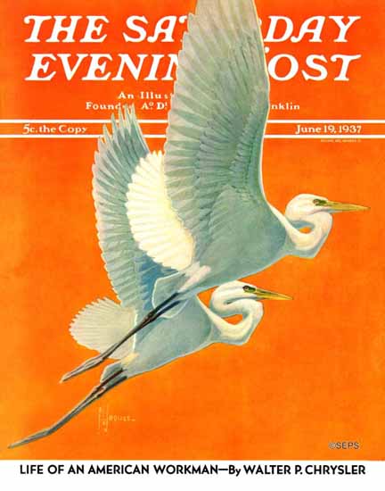 Francis Lee Jaques Saturday Evening Post Cover 1937_06_19 | The Saturday Evening Post Graphic Art Covers 1931-1969