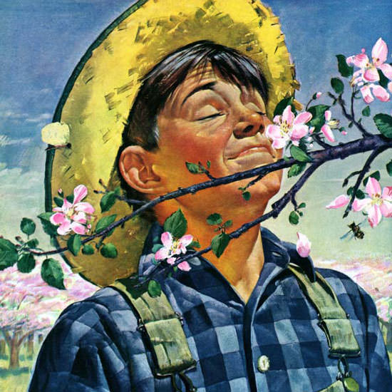 Howard Scott Saturday Evening Post Blossoms 1944_05_06 Copyright crop | Best of 1940s Ad and Cover Art