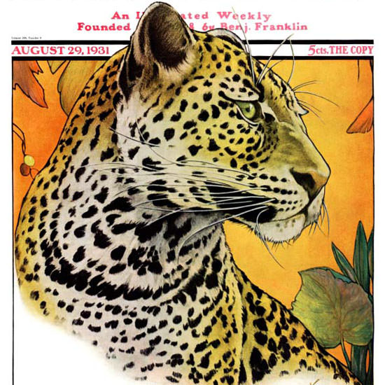 Jack Murray Saturday Evening Post Leopard 1931_08_29 Copyright crop | Best of 1930s Ad and Cover Art