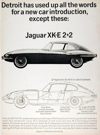 Jaguar XK-E 2-2 1966 Detroit Car Introduction | Vintage Cars 1891-1970