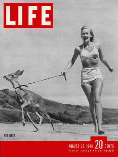 Life Magazine Copyright 1948 Young Hunter With Pet Deer | Sex Appeal Vintage Ads and Covers 1891-1970