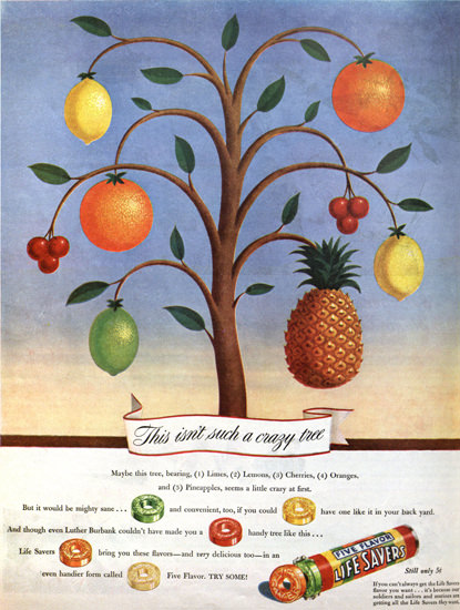 Life Savers Candy Crazy Tree | Vintage Ad and Cover Art 1891-1970