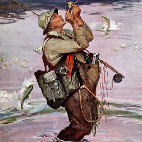 Mead Schaeffer Saturday Evening Post Fish 1951_05_19 Copyright crop | Best of Vintage Cover Art 1900-1970
