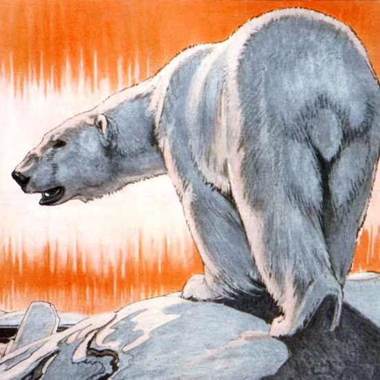 Paul Bransom Saturday Evening Post Bear 1922_08_05 Copyright crop | Best of 1920s Ad and Cover Art