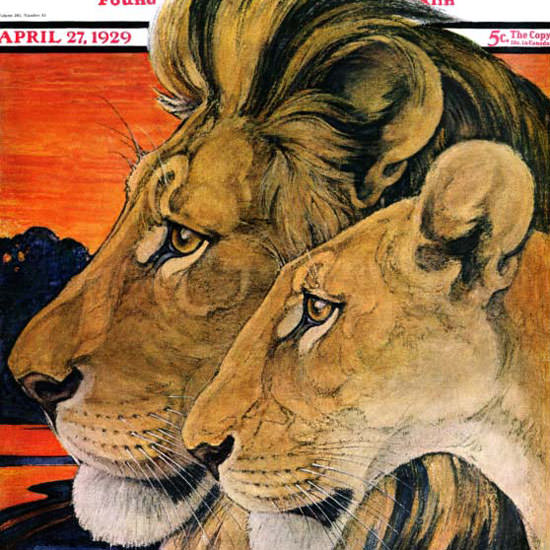 Paul Bransom Saturday Evening Post Lions 1929_04_27 Copyright crop | Best of 1920s Ad and Cover Art