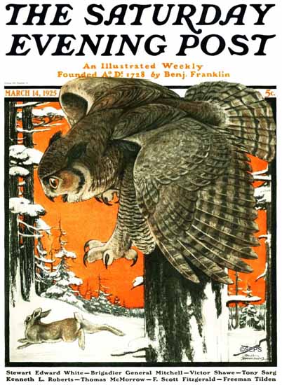 Roaring 1920s Paul Bransom Saturday Evening Post Owl 1925_03_14 | Roaring 1920s Ad Art and Magazine Cover Art