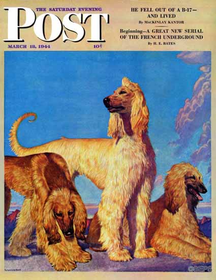 Rutherford Boyd Saturday Evening Post Afghan Hounds 1944_03_18 | The Saturday Evening Post Graphic Art Covers 1931-1969
