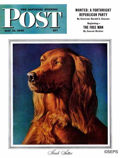 Rutherford Boyd Saturday Evening Post Irish Setter 1943_05_15 | The Saturday Evening Post Graphic Art Covers 1931-1969